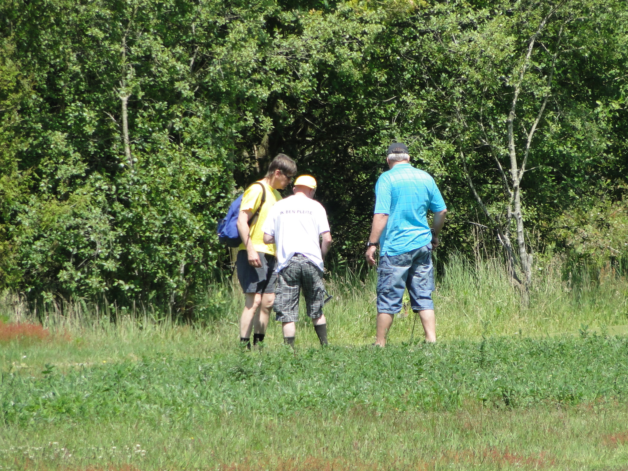 2011HWK 066.jpg